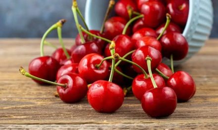 Ceri Kaya Nutrisi, Buah Yang Bersahabat Bagi Penderita Diabetes